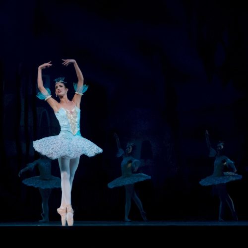Ballet Ballerina Performance Don Quixote 46158.jpeg